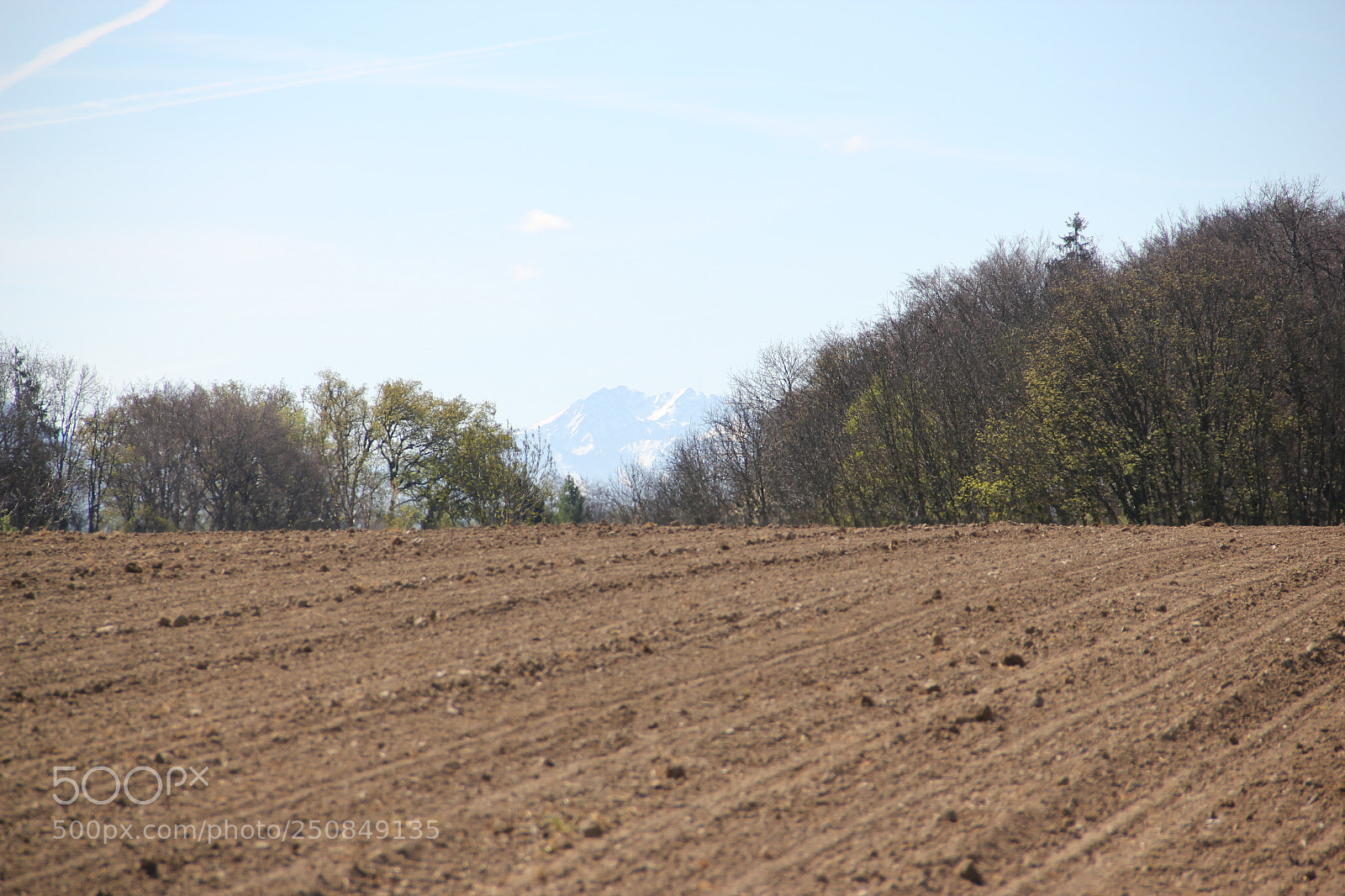 Canon EF-S 18-135mm F3.5-5.6 IS sample photo. Fields photography