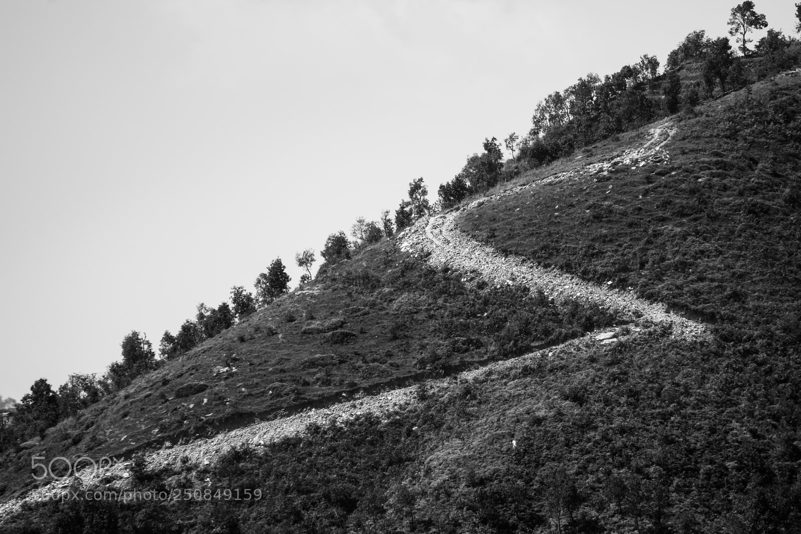 Nikon D7200 sample photo. Zig zag photography