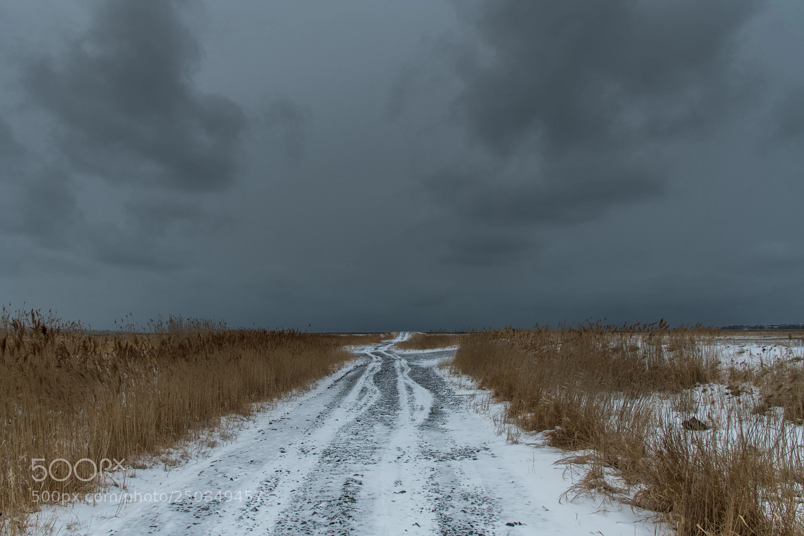 Nikon D850 sample photo. Road to the uncertain photography