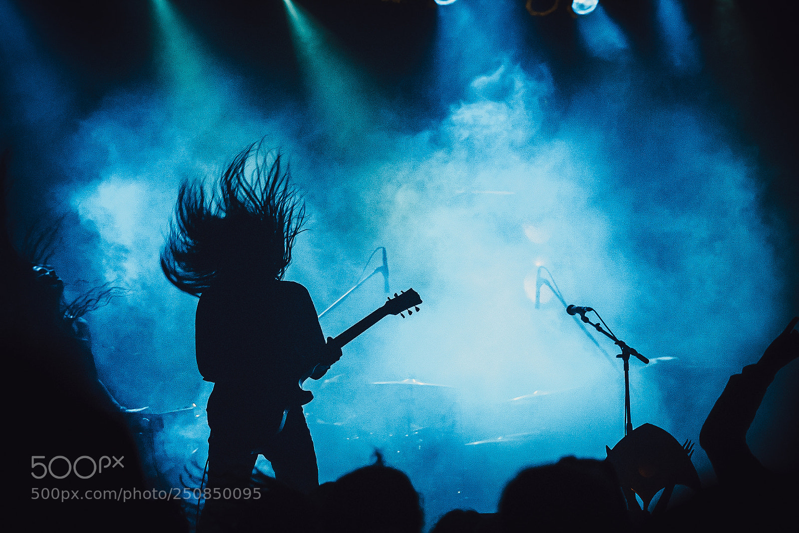 Sony a7R II sample photo. Wolves in the throne photography