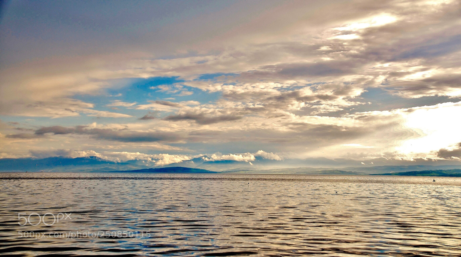 Nikon D7000 sample photo. Misty day photography