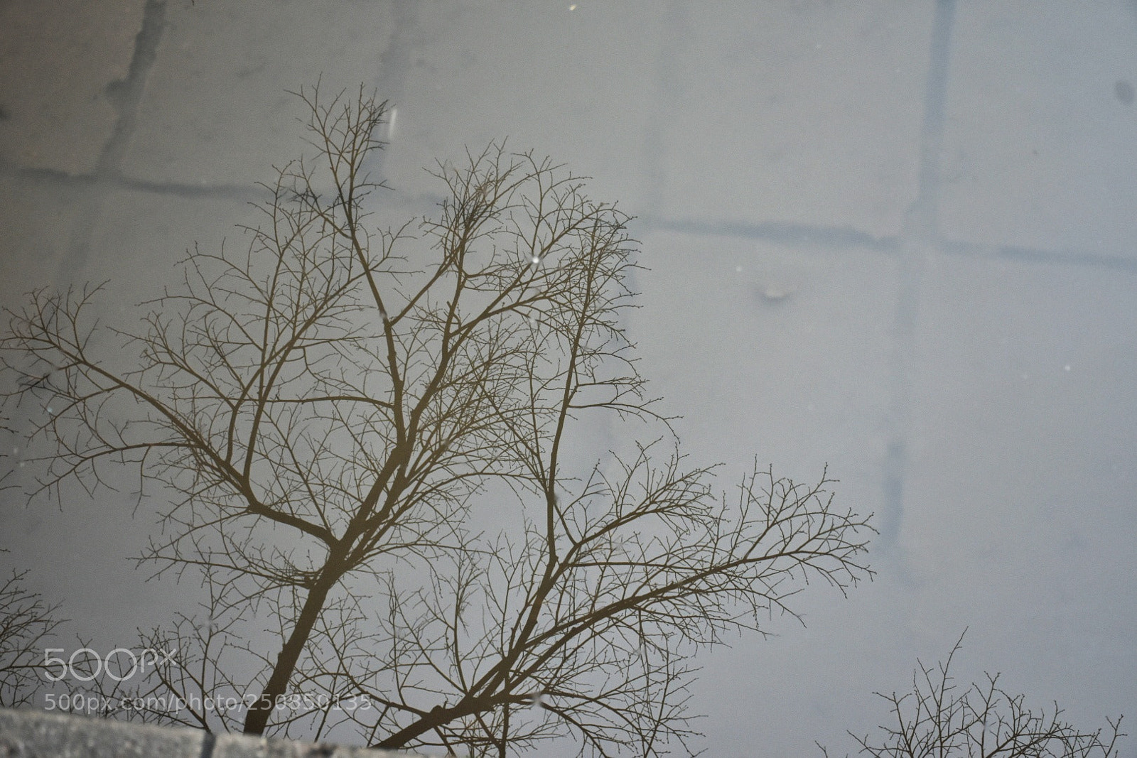 Nikon D7200 sample photo. Untitled photography