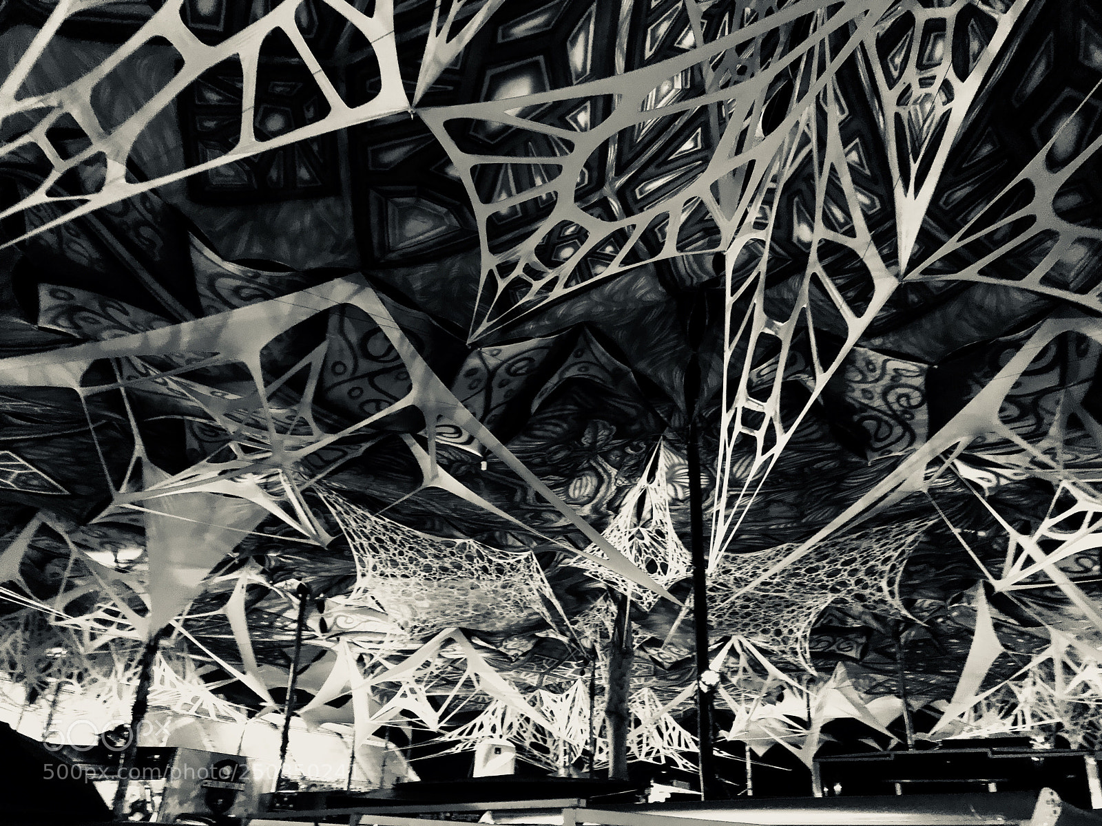 Apple iPhone 8 sample photo. Beerland festival photography