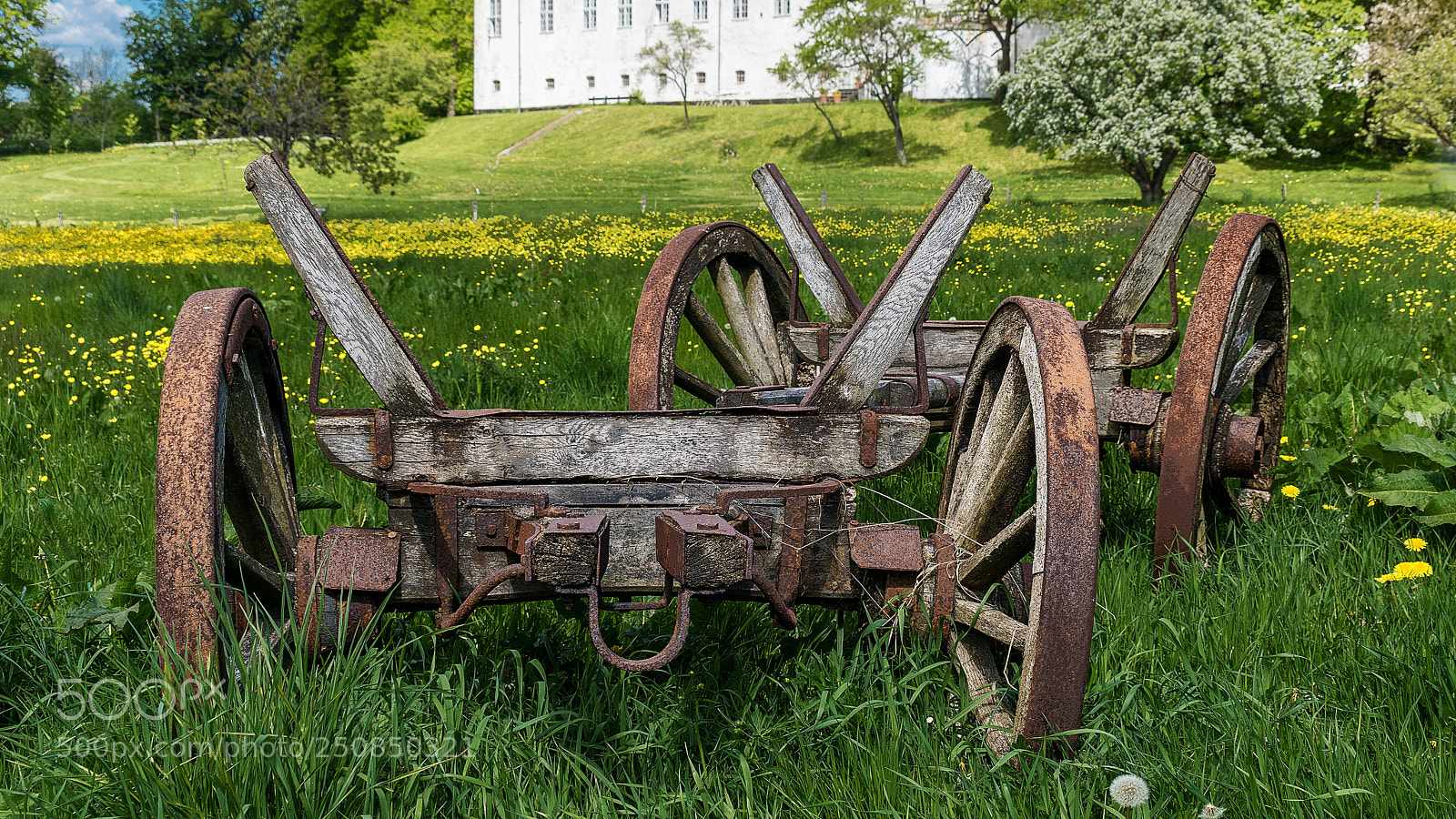 Sony ILCA-77M2 sample photo. Old horse cart photography