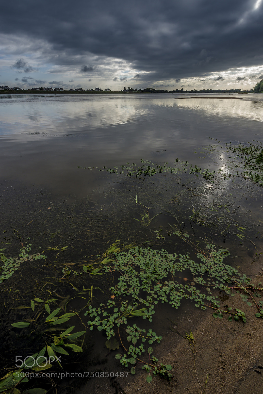 Nikon D610 sample photo. Morning light near saint photography