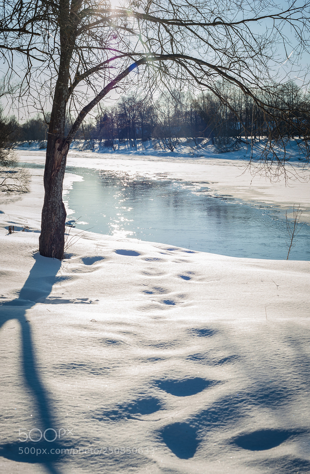 Nikon D700 sample photo. Март...march photography