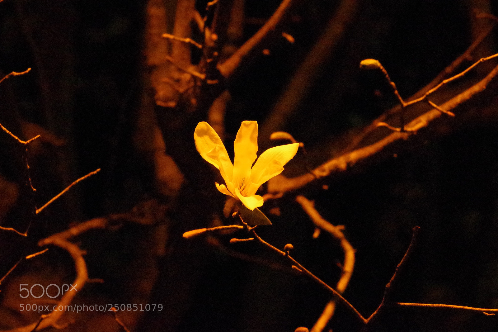 Pentax K-70 sample photo. Untitled photography