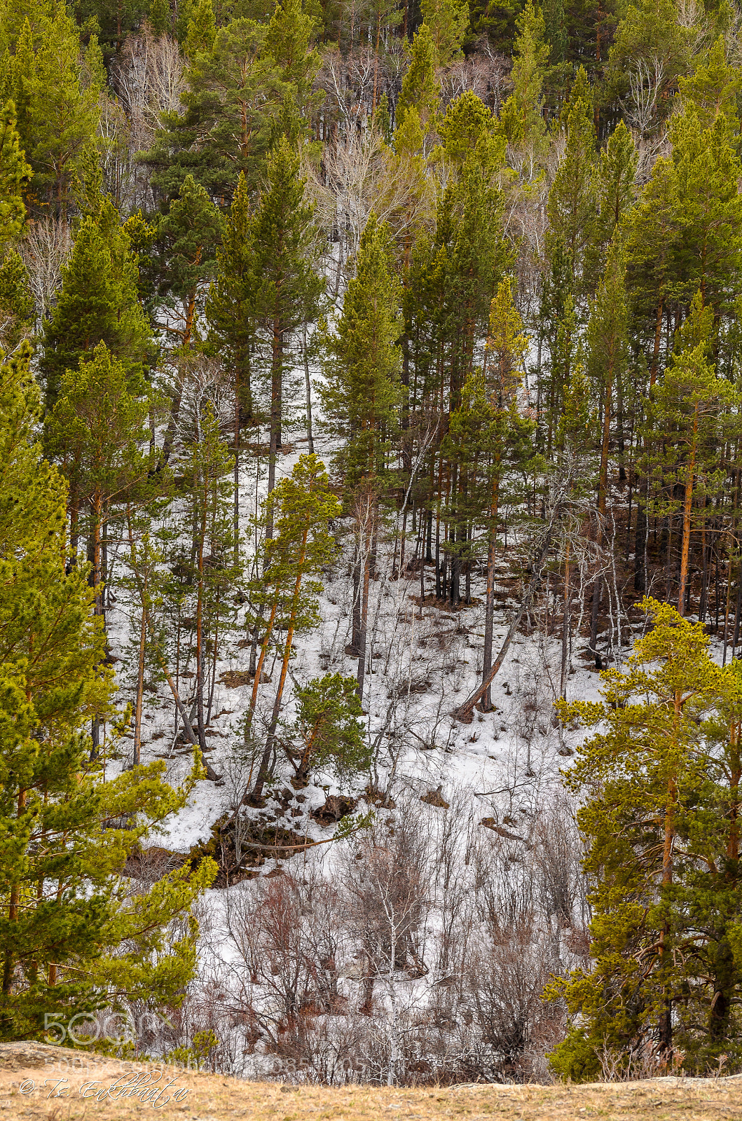 Nikon D5100 sample photo. Mountain photography