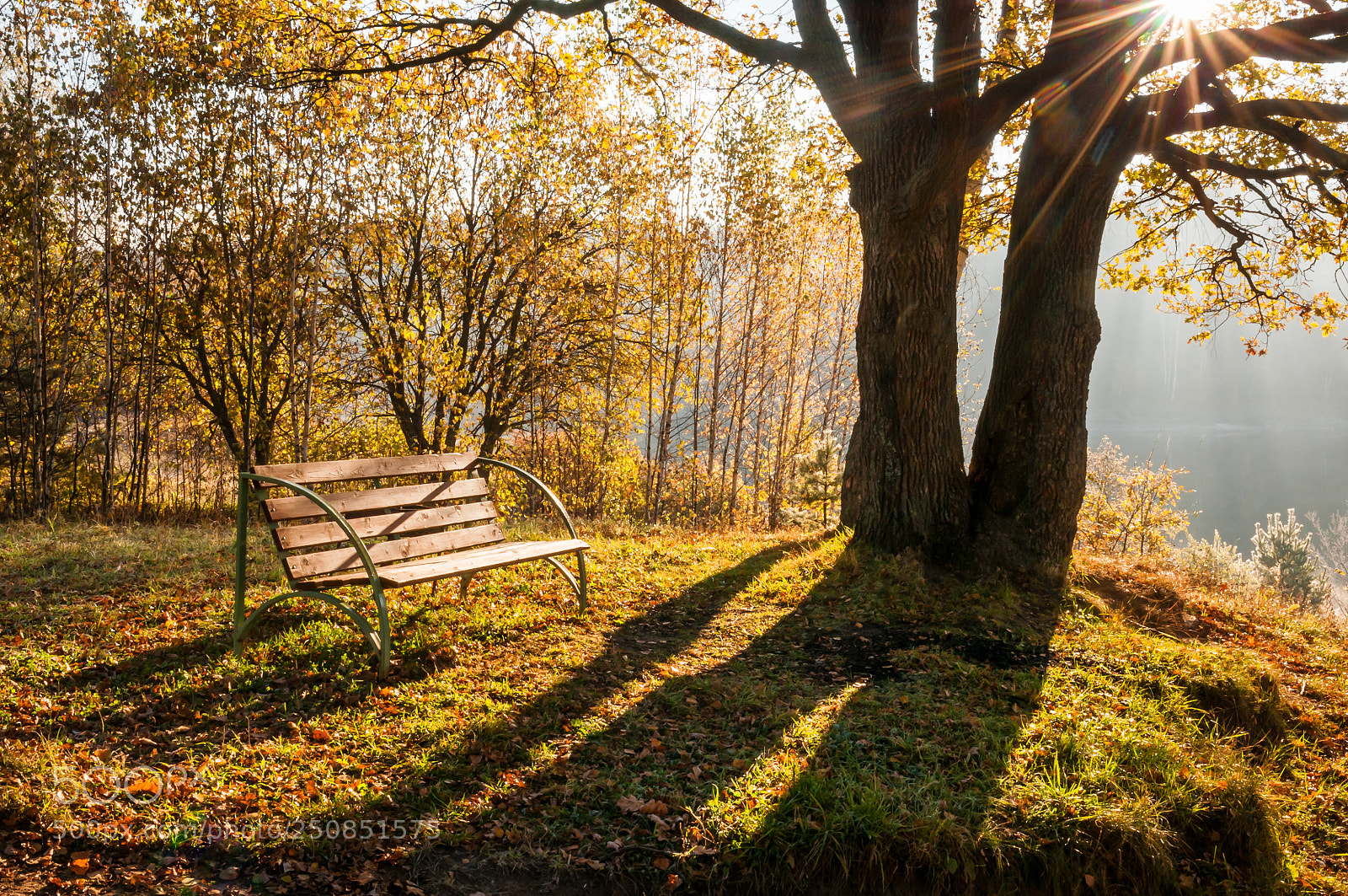 Nikon D300S sample photo. Autumn photography