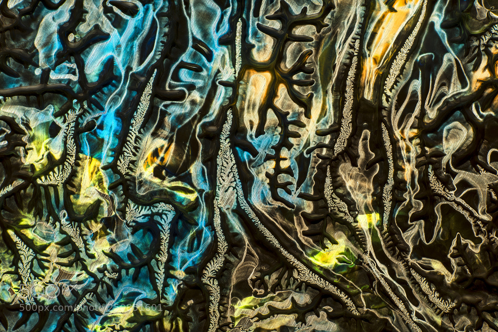 Sony a7R sample photo. Plate 9080 photography