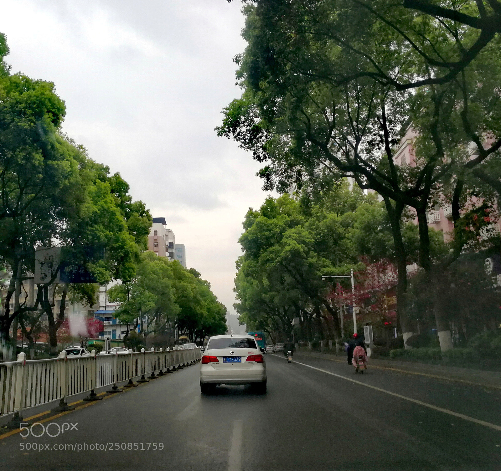 HUAWEI P10 sample photo. Untitled photography