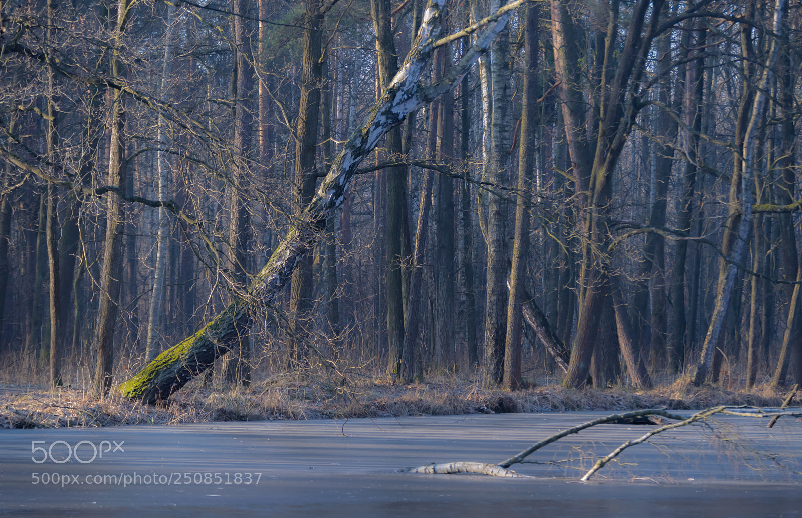 Nikon D3300 sample photo. Winter in the spring photography