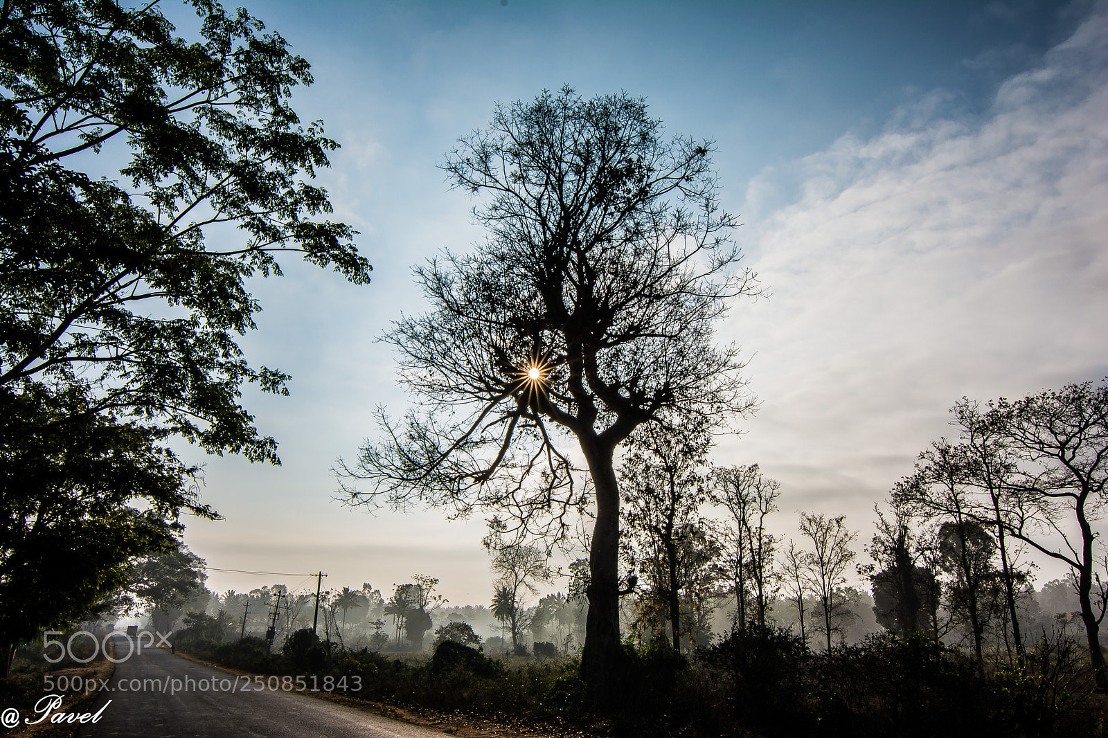 Nikon D5200 sample photo. Early sun rays photography