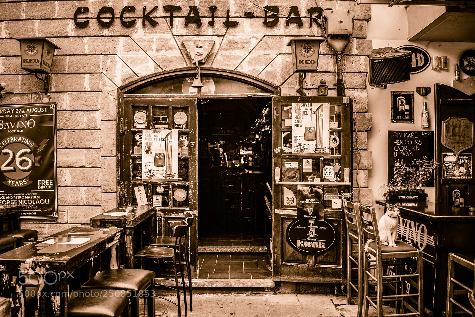 Nikon D5300 sample photo. Savino rock bar! photography
