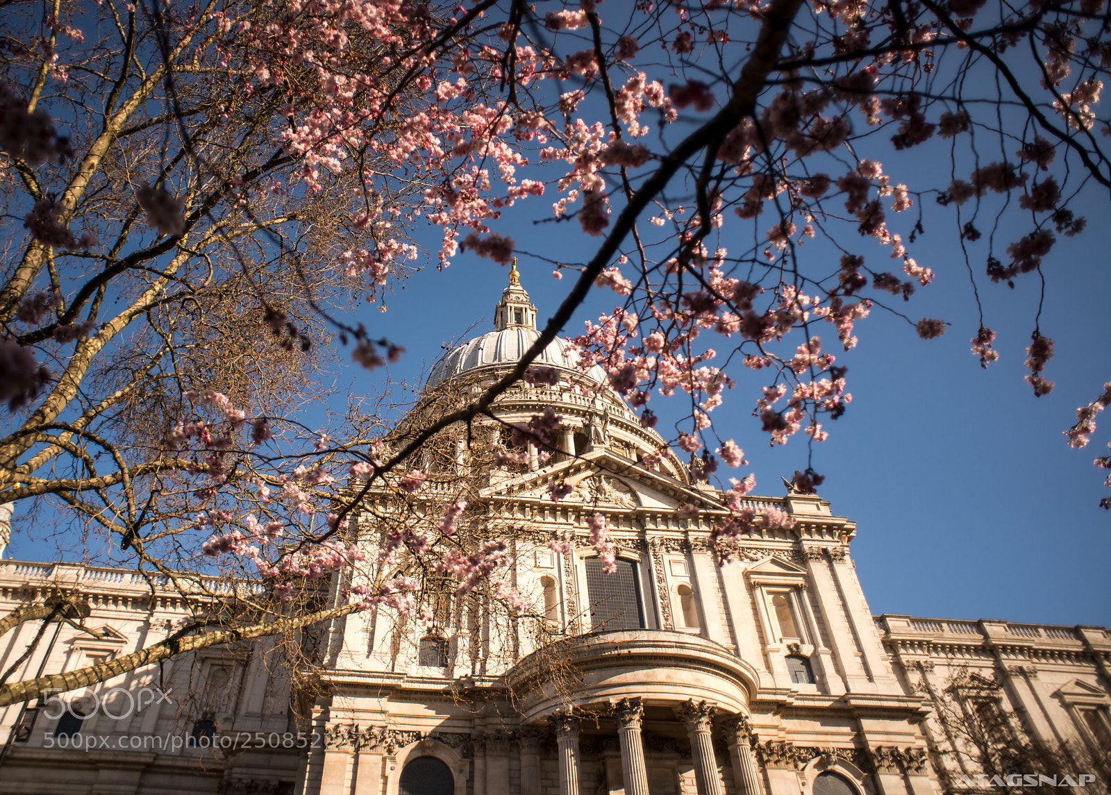Nikon D800 sample photo. London in bloom photography