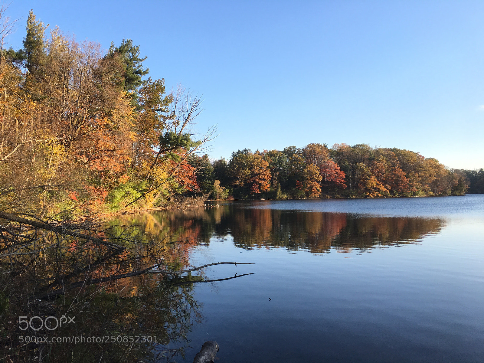 Apple iPhone 6s sample photo. Colourful trees by the photography