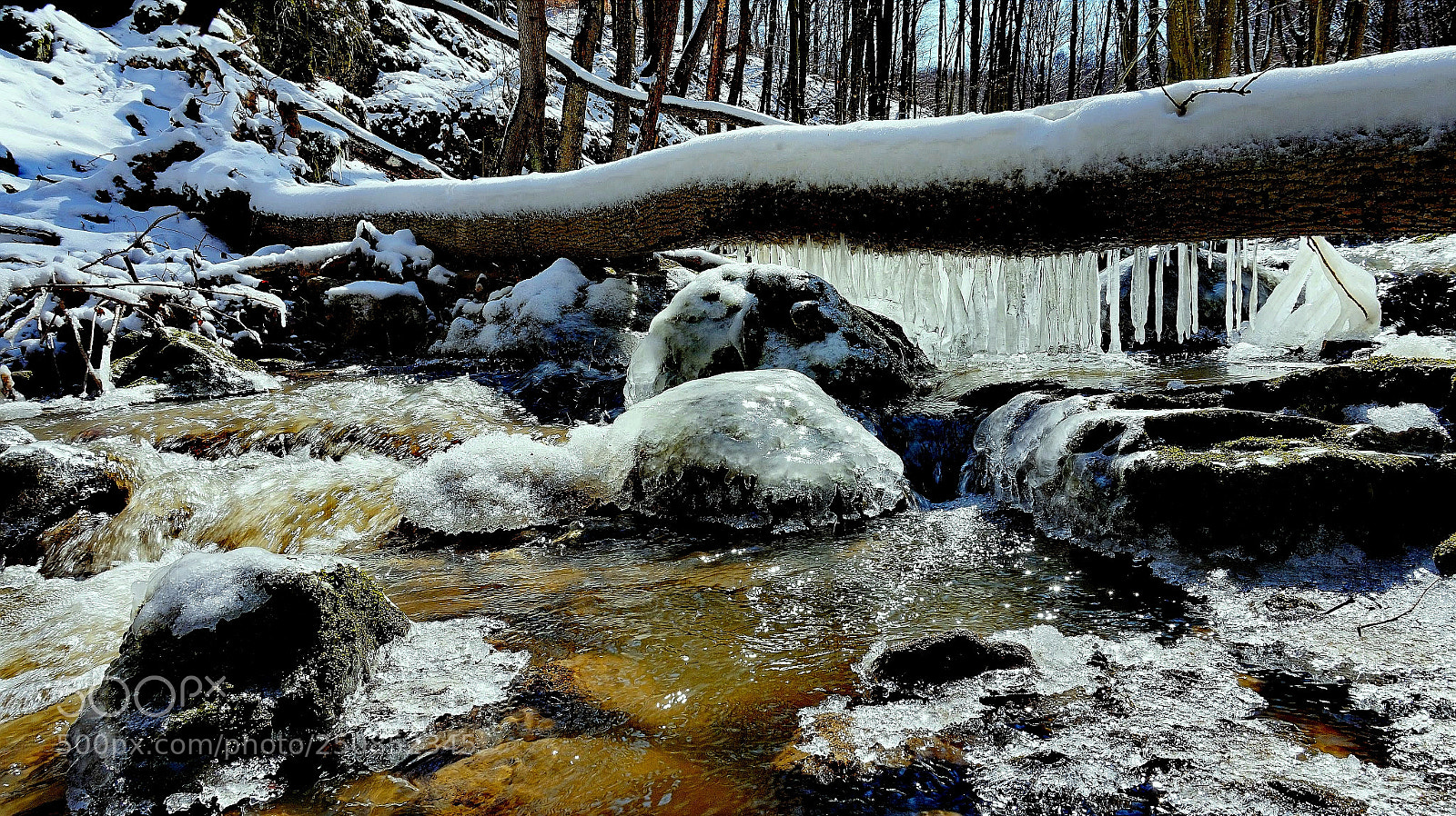 Sony Alpha a5000 (ILCE 5000) sample photo. Early spring creek photography
