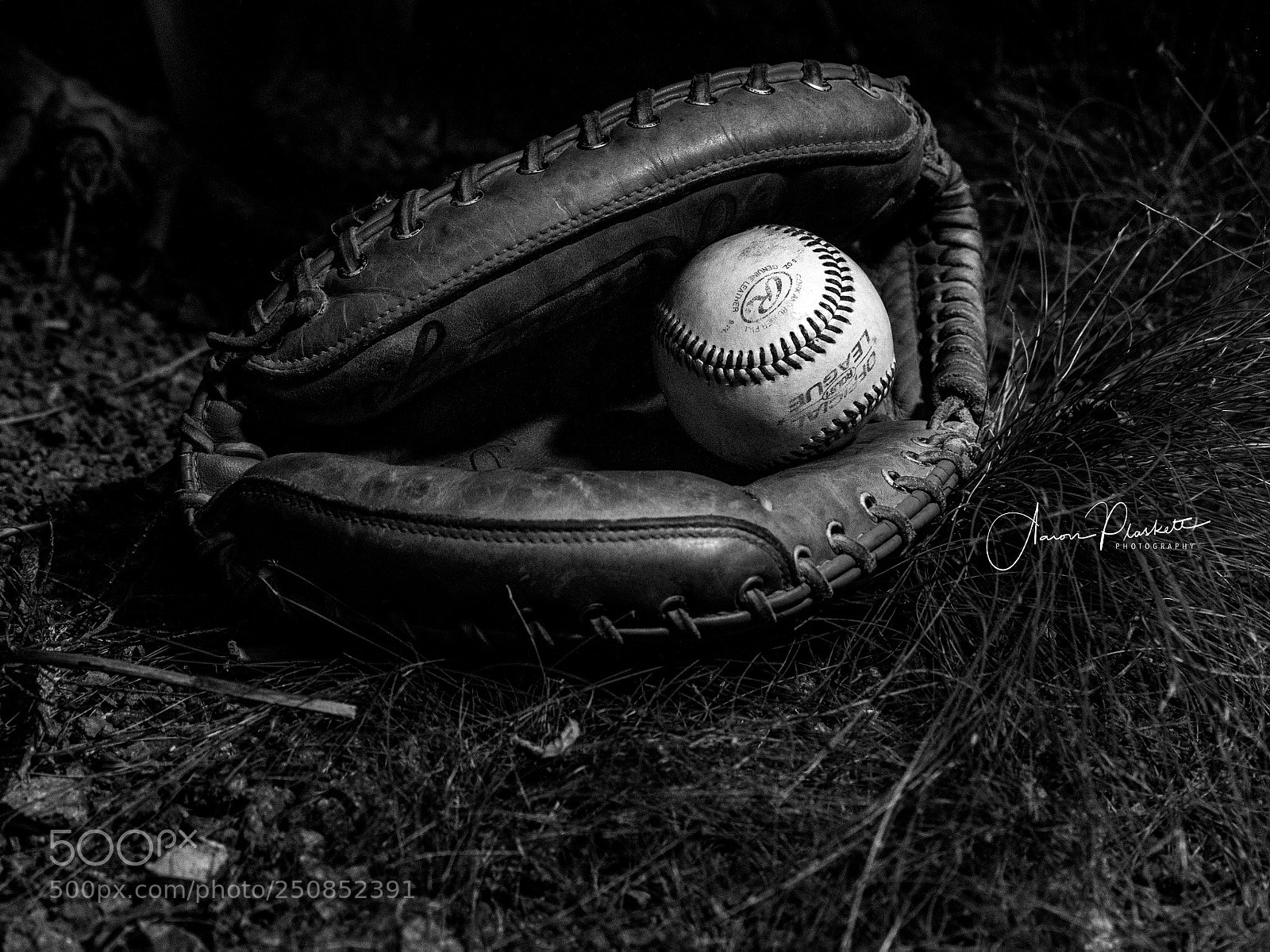 Nikon D810 sample photo. Baseball photography