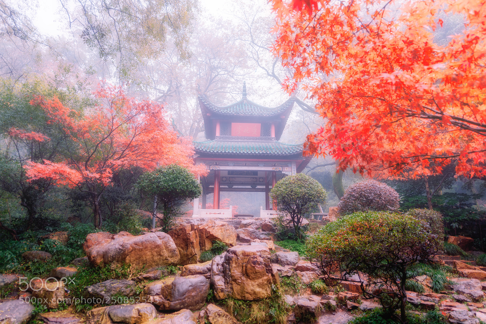 Nikon D810 sample photo. Aiwan pavilion photography