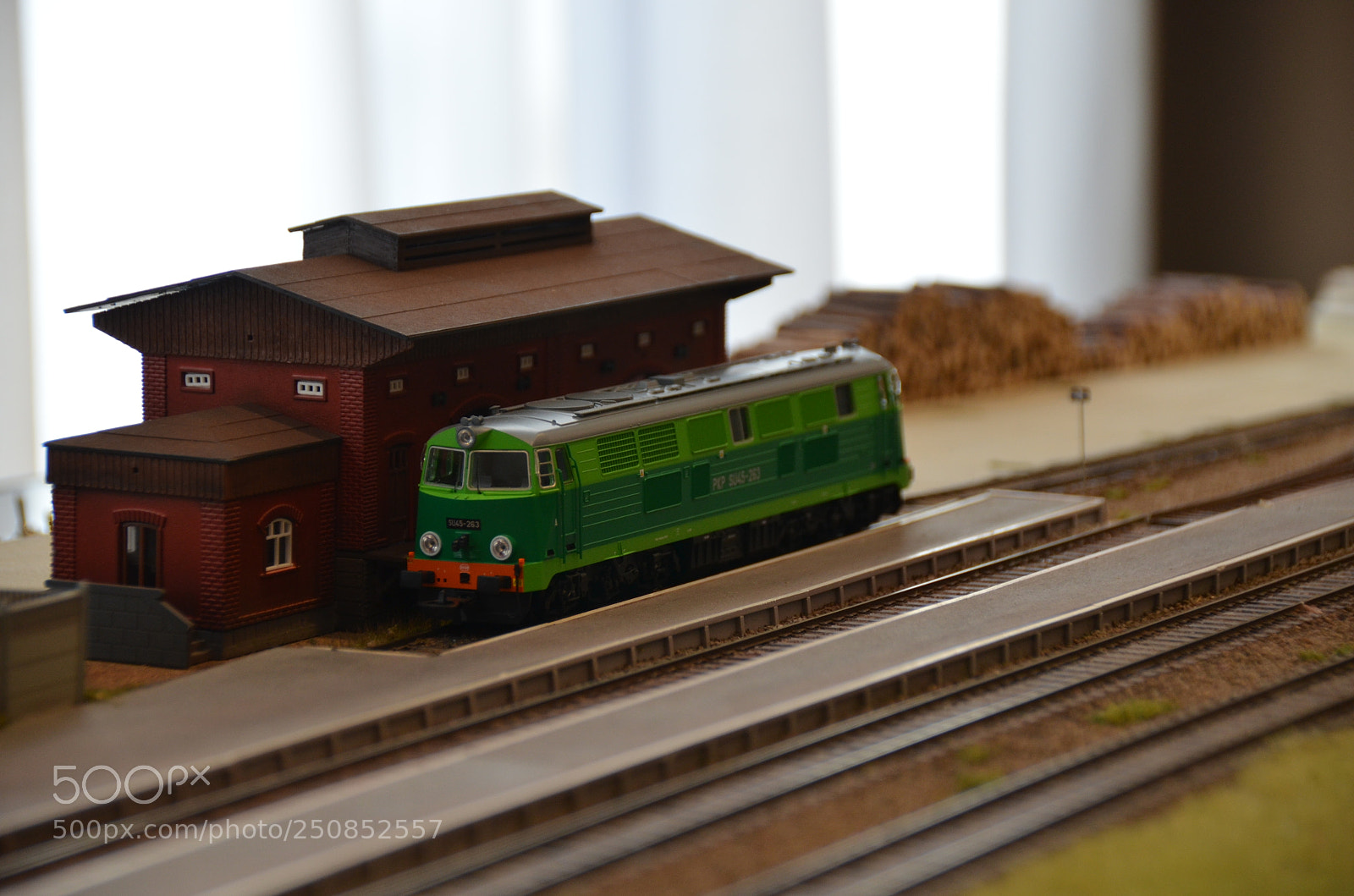 Nikon D5100 sample photo. Su45-263 photography