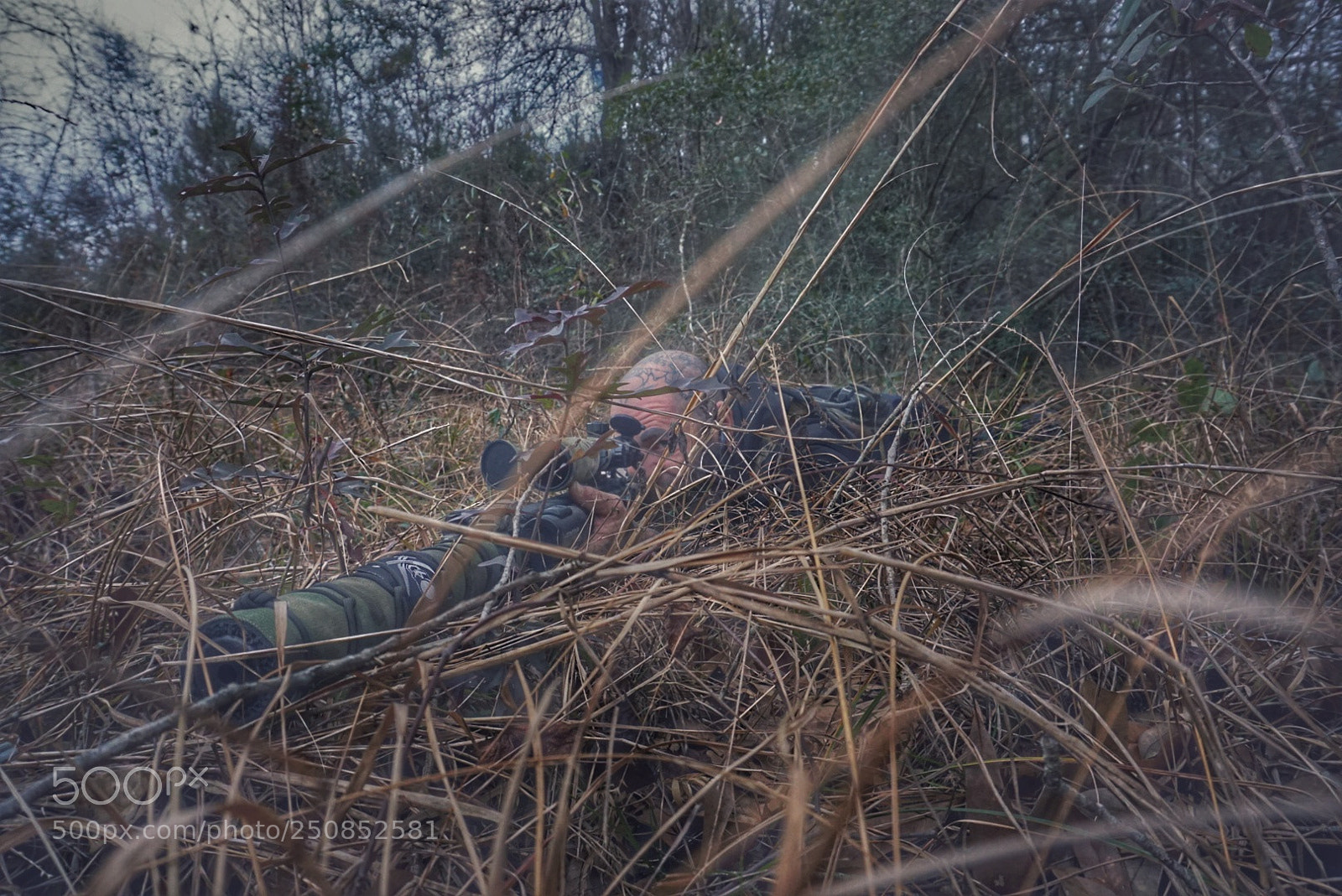Sony a6000 sample photo. Sniper photography