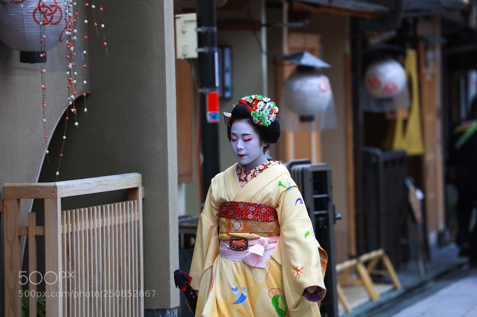 Canon EOS 5DS sample photo. 藝伎 photography