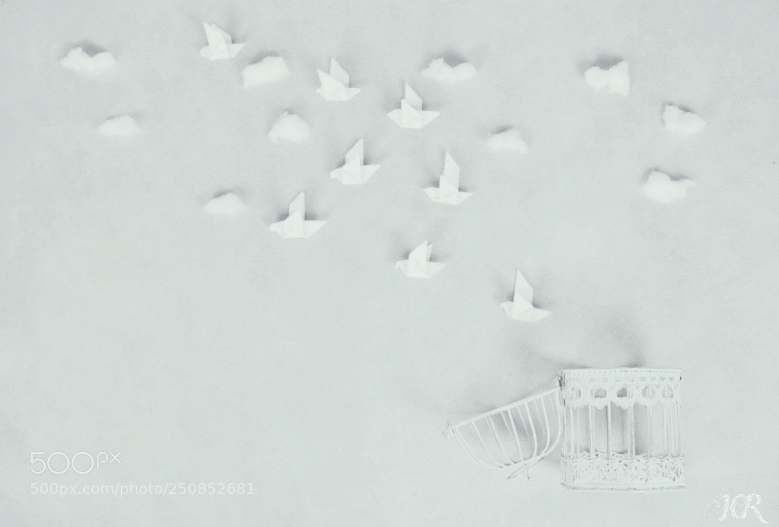 Nikon D5200 sample photo. Pájaros de papel... photography