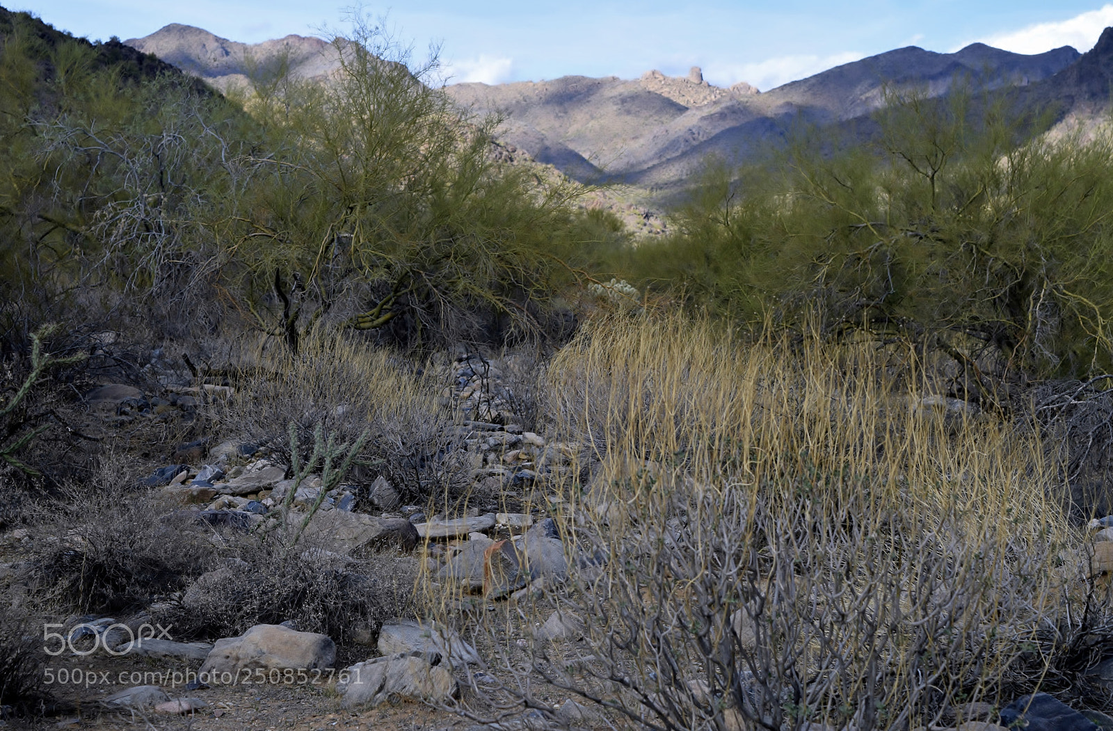 Nikon D5300 sample photo. Gateway loop trail 4 photography