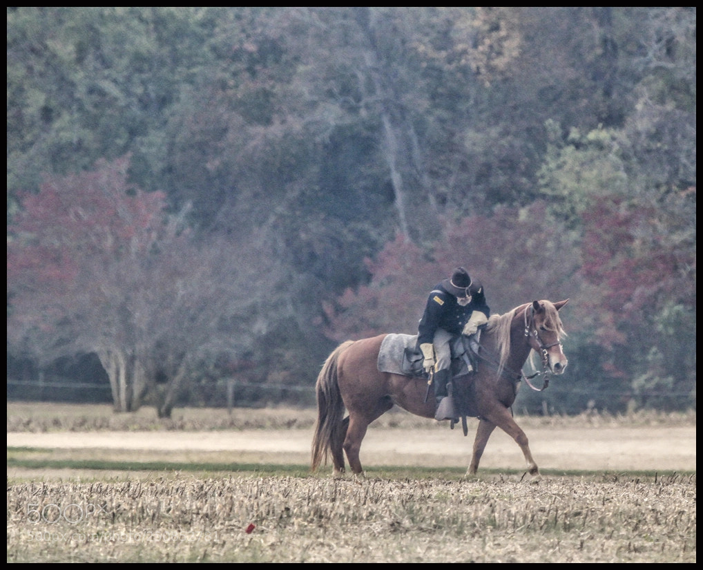 Canon EOS 7D sample photo. Death rides a horse photography