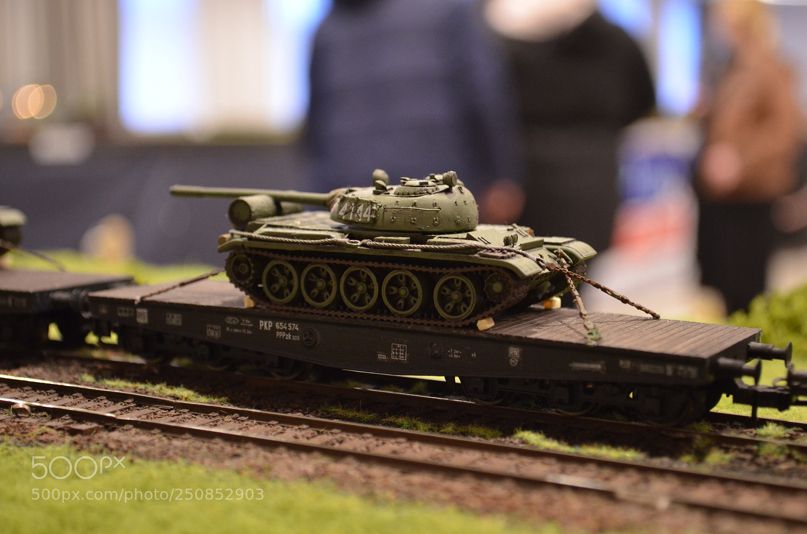 Nikon D5100 sample photo. X photography