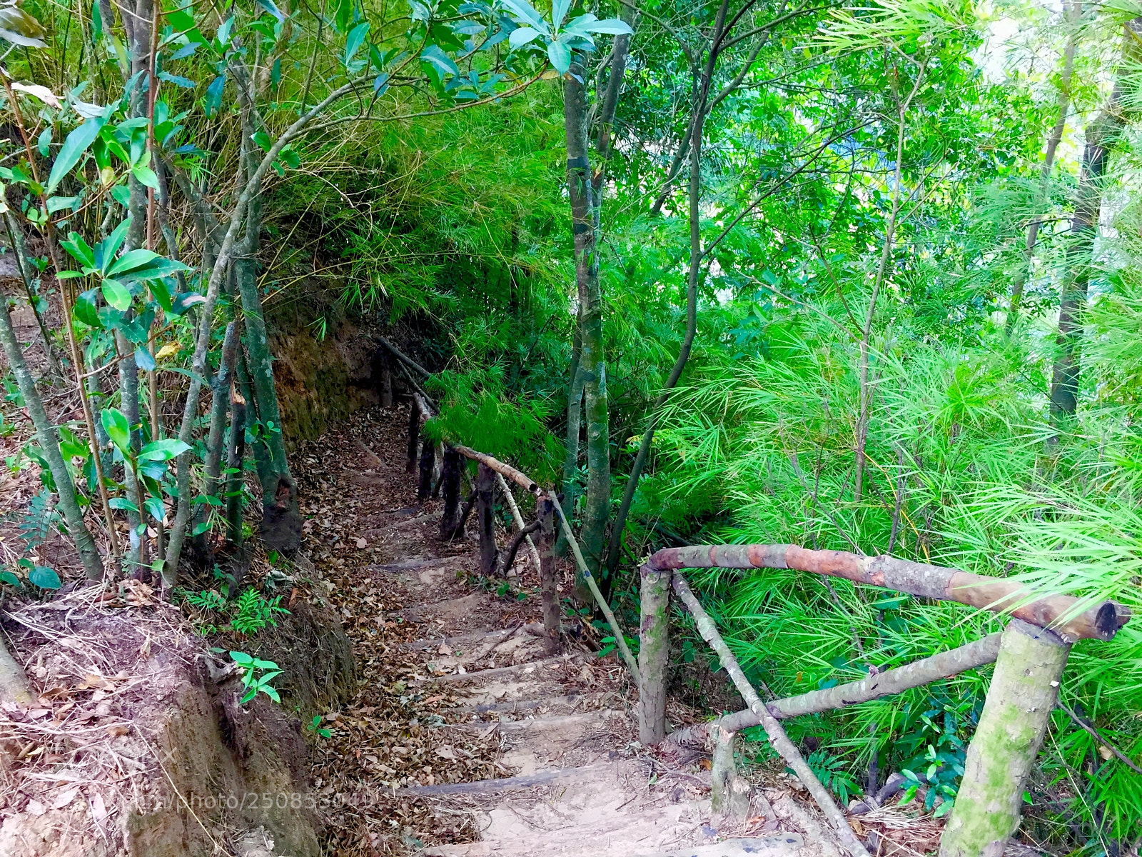 Apple iPhone 6 sample photo. Me duele no tenerte. photography