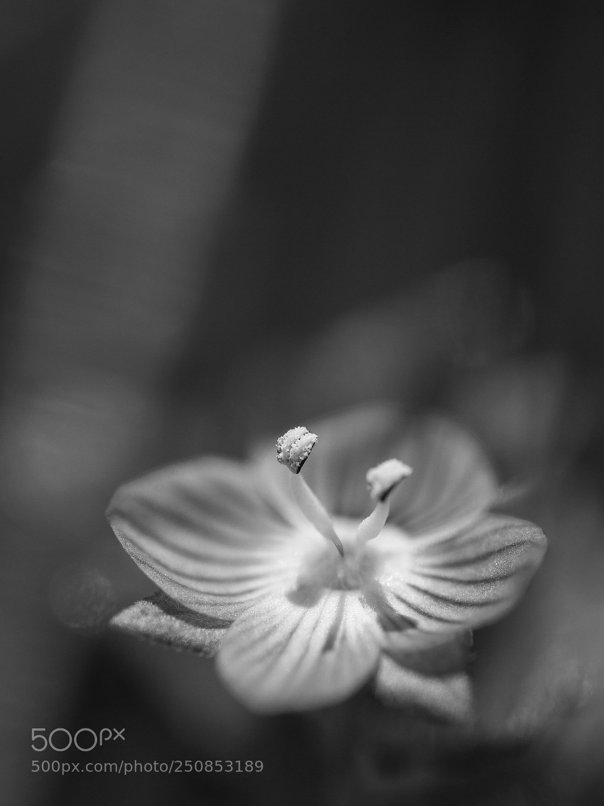 Canon EOS 7D sample photo. Untitled photography
