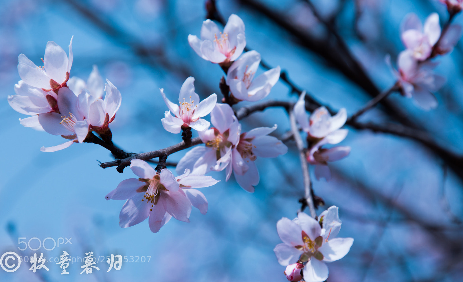 Nikon D7100 sample photo. Untitled photography