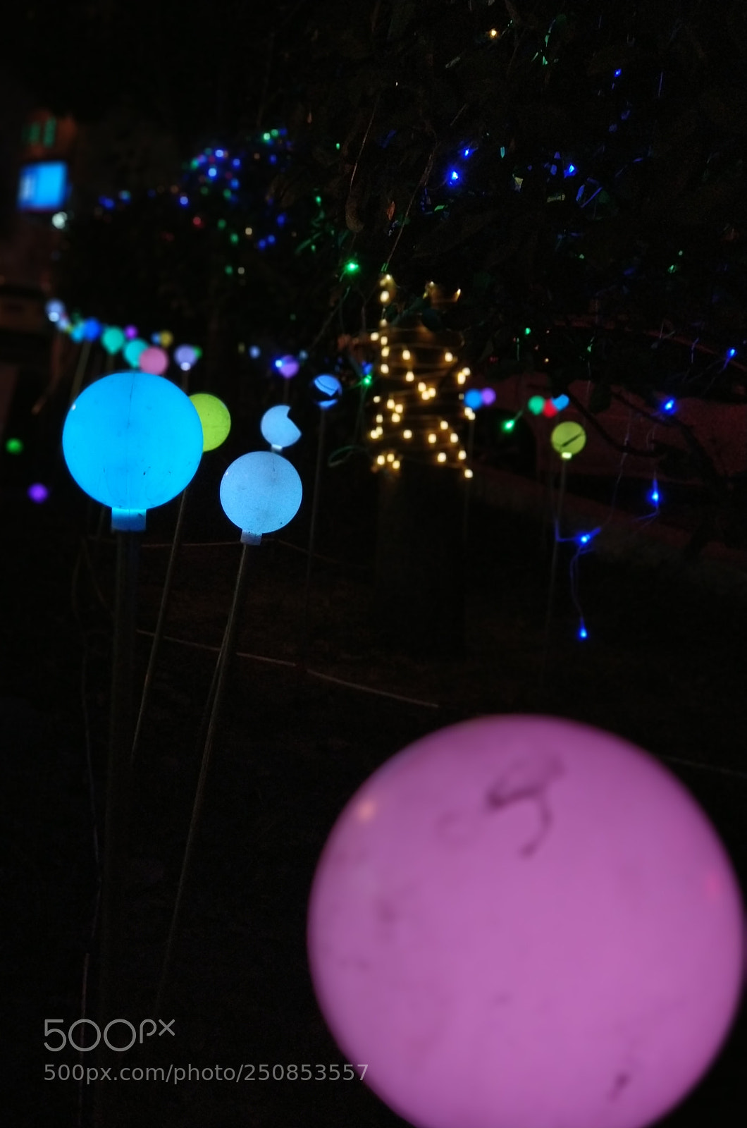 Xiaomi MI6 sample photo. Light photography