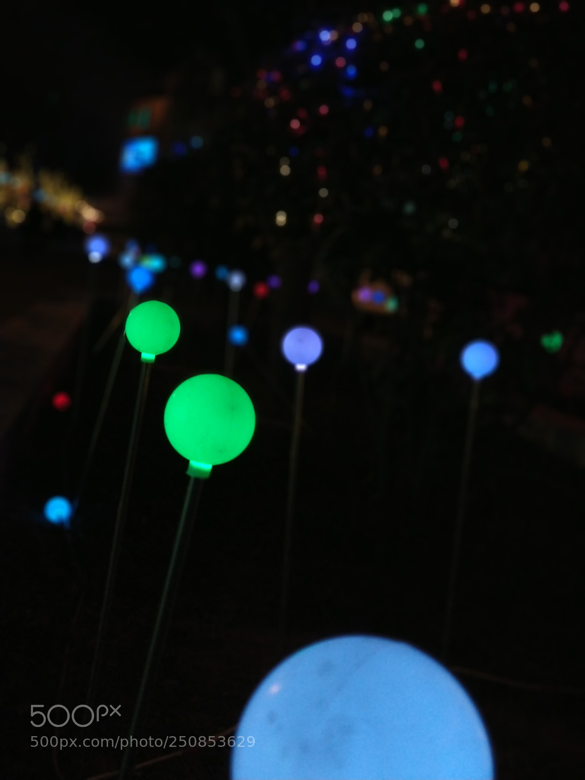 Xiaomi MI6 sample photo. Light photography
