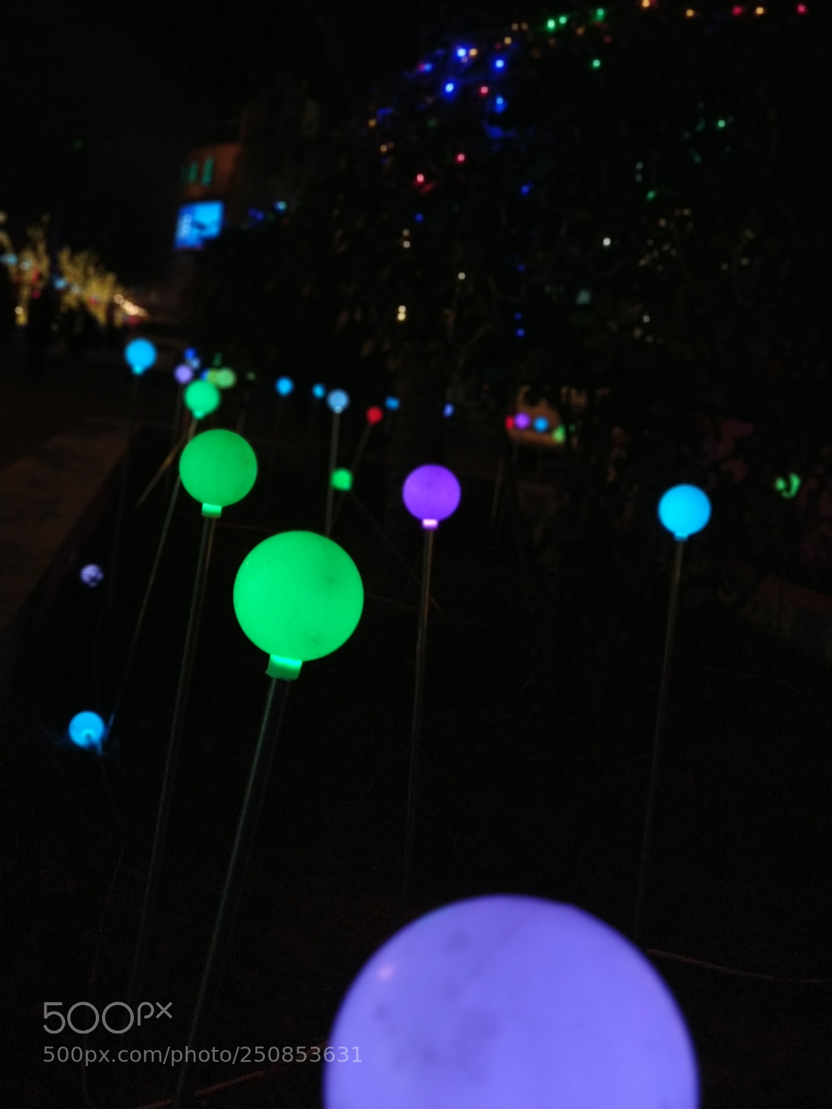 Xiaomi MI6 sample photo. Light photography