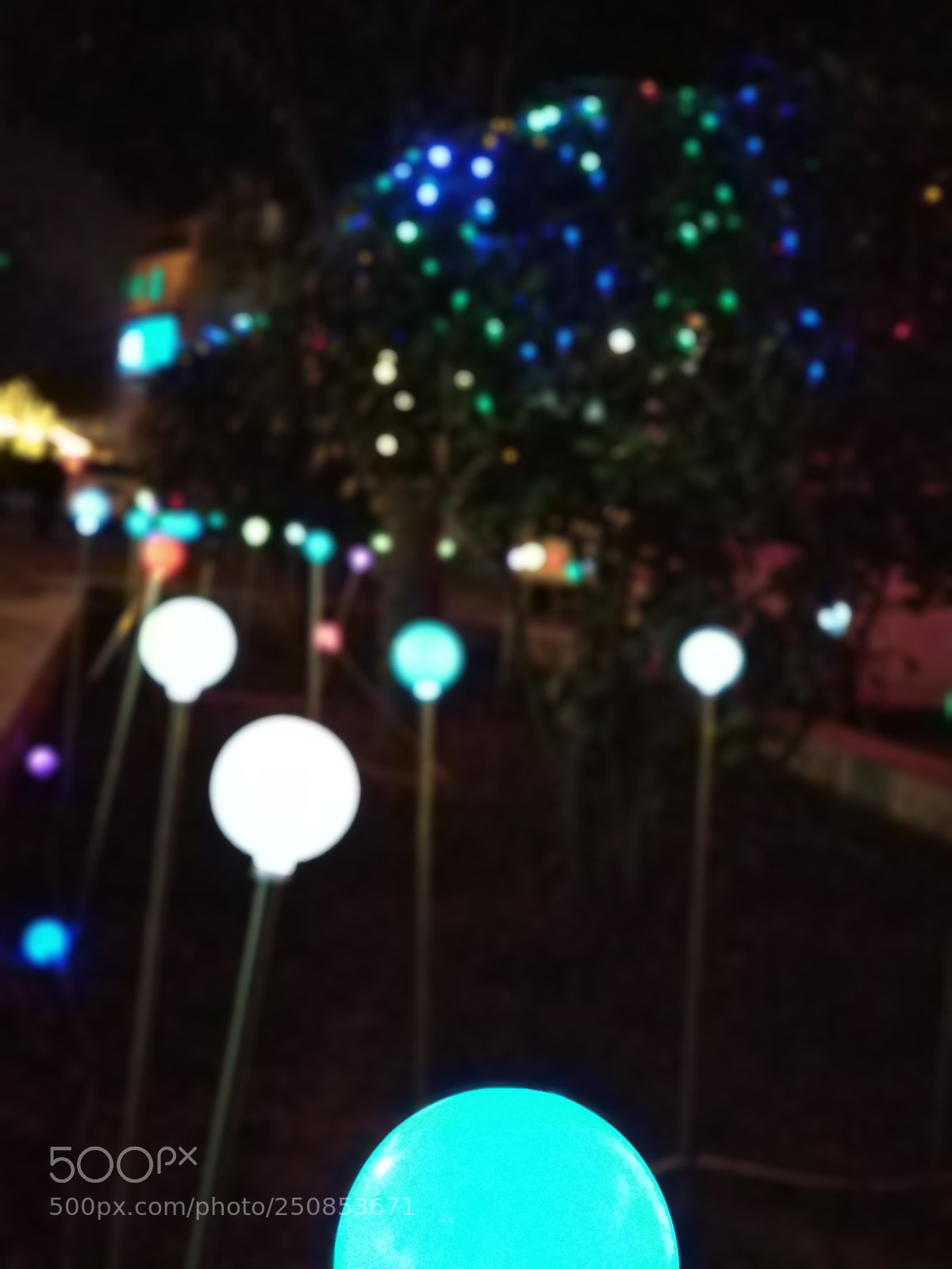 Xiaomi MI6 sample photo. Light photography