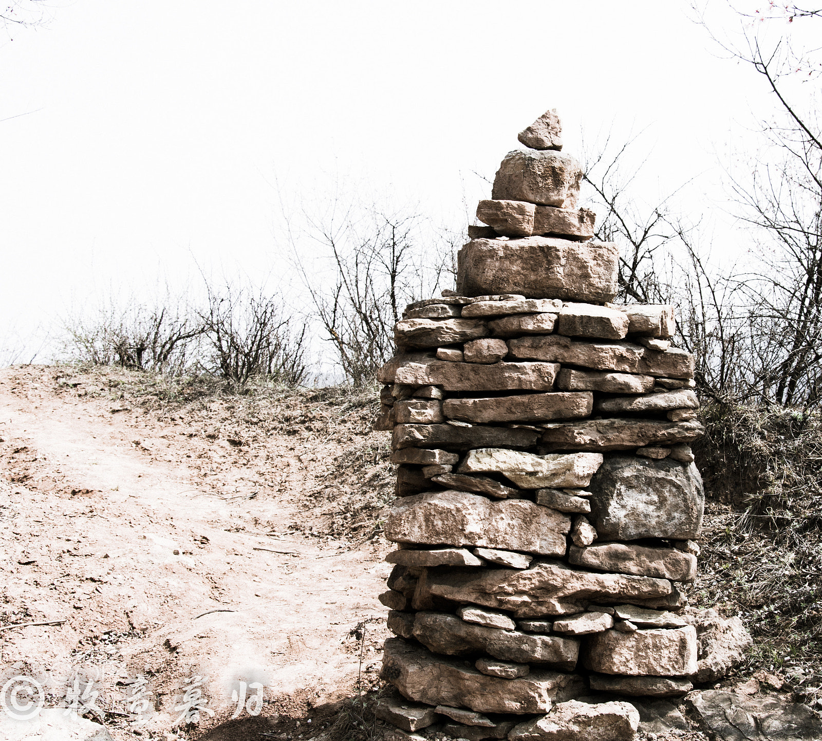 Nikon D7100 sample photo. Untitled photography