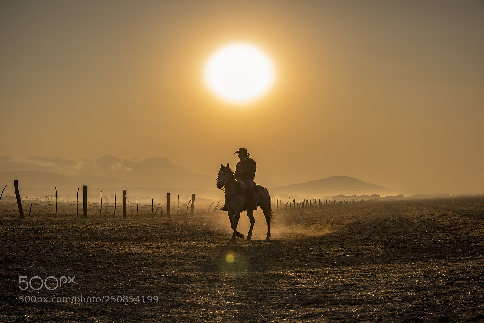 Nikon D810 sample photo. Cowboy photography