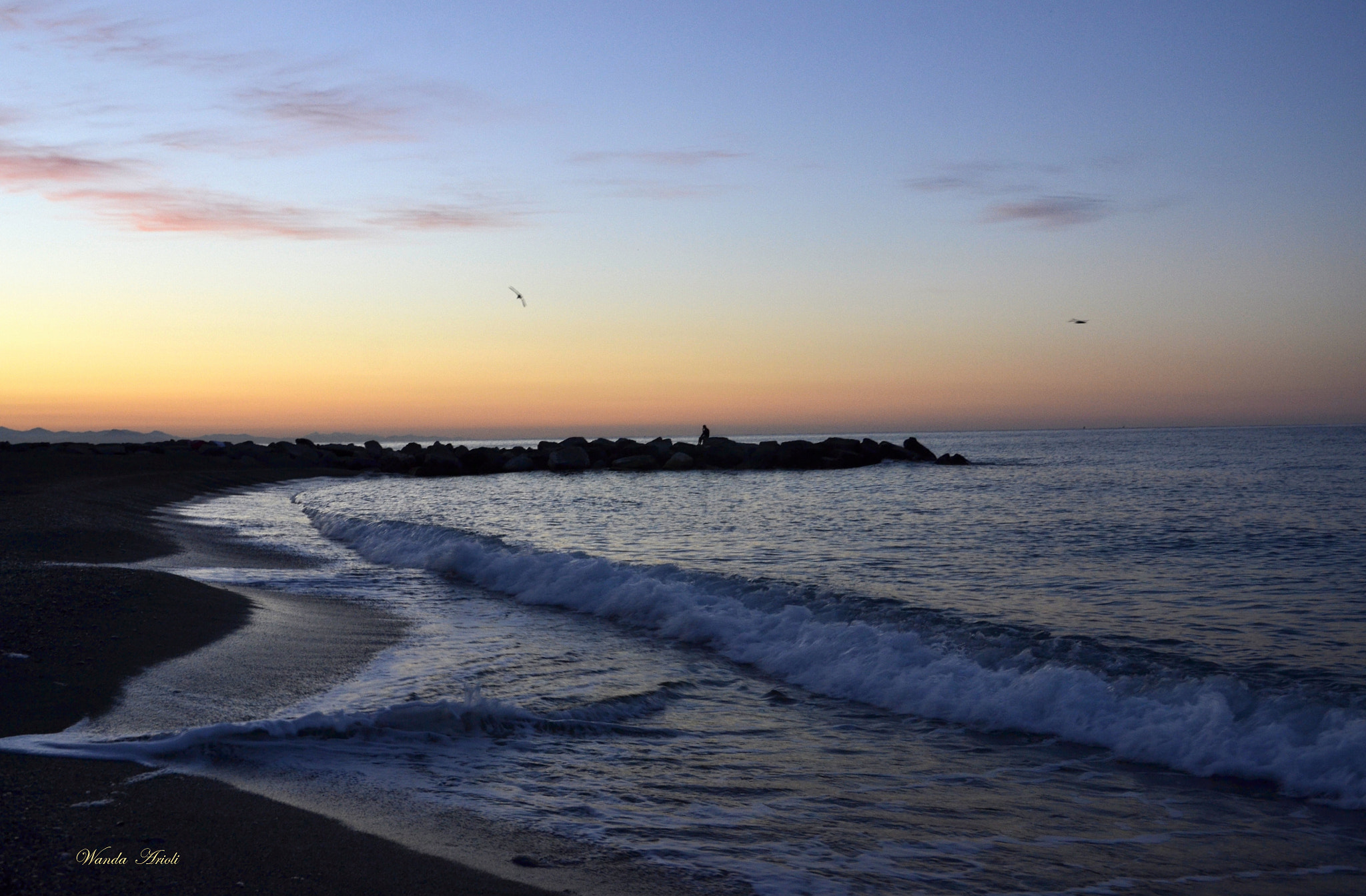 Nikon D3100 sample photo