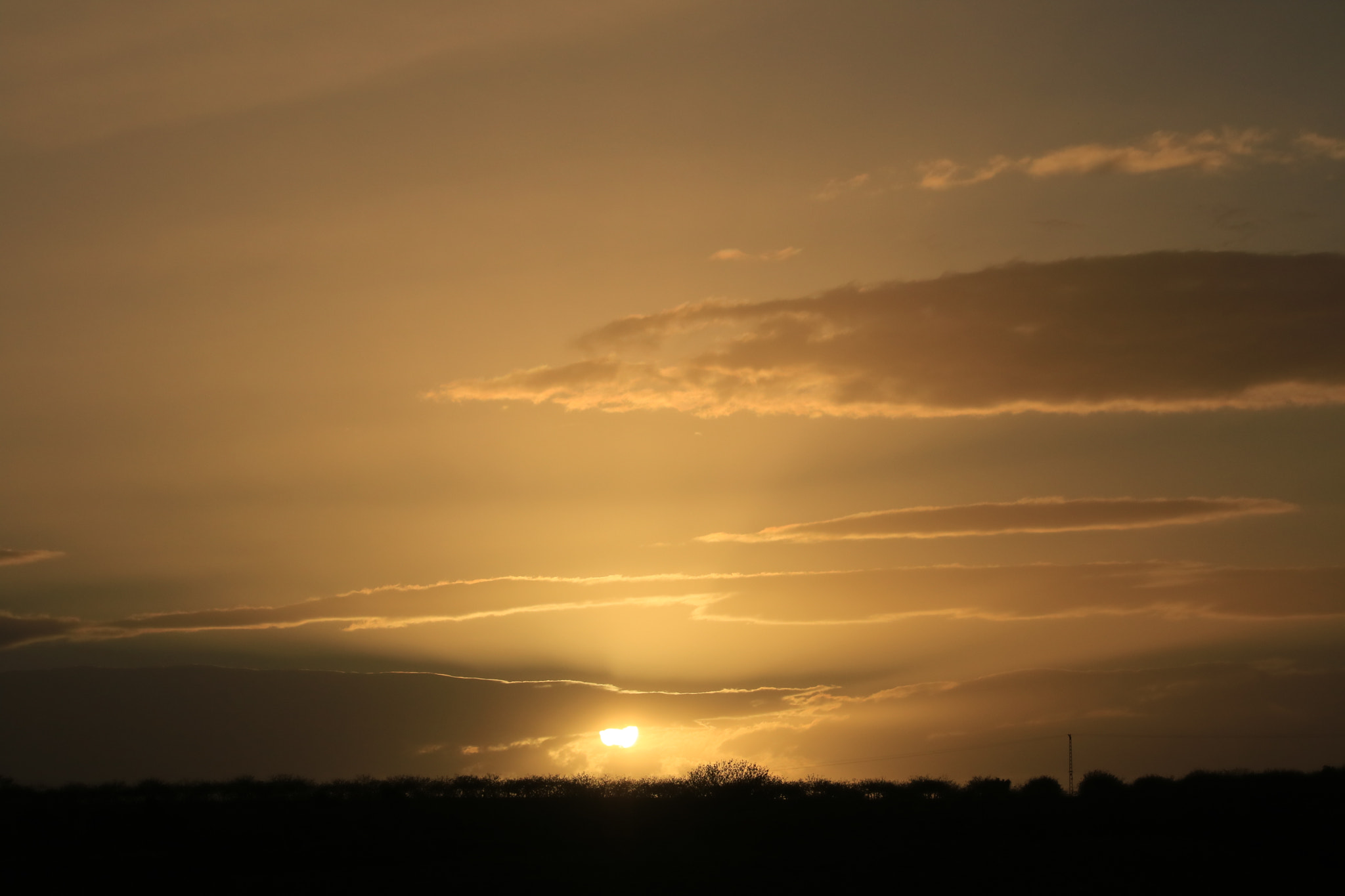 Canon EF-S 55-250mm F4-5.6 IS sample photo