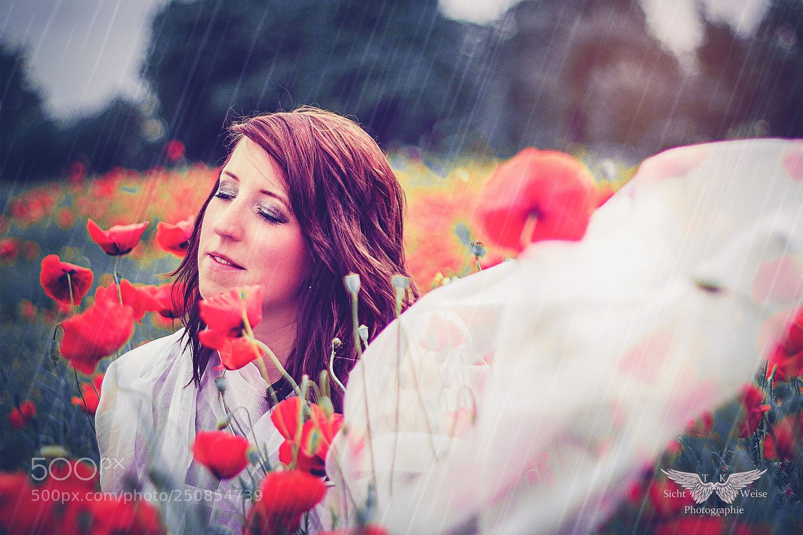 Canon EOS 7D sample photo. ~ ~ photography