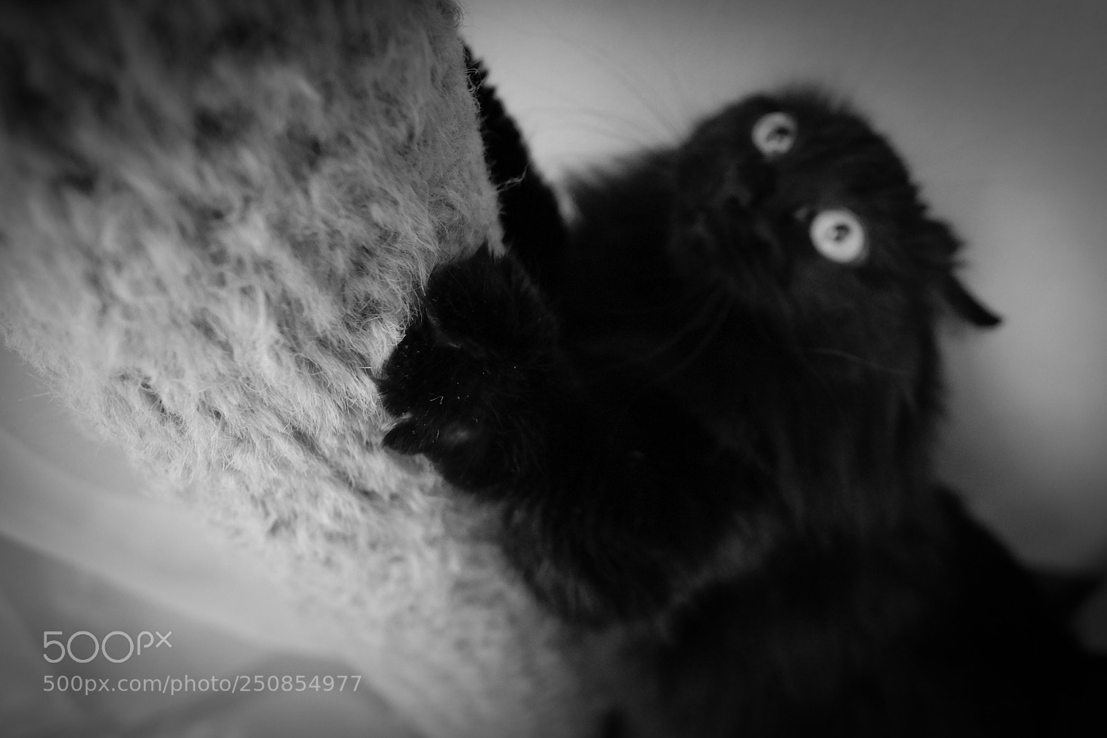 Fujifilm X-T10 sample photo. Untitled photography