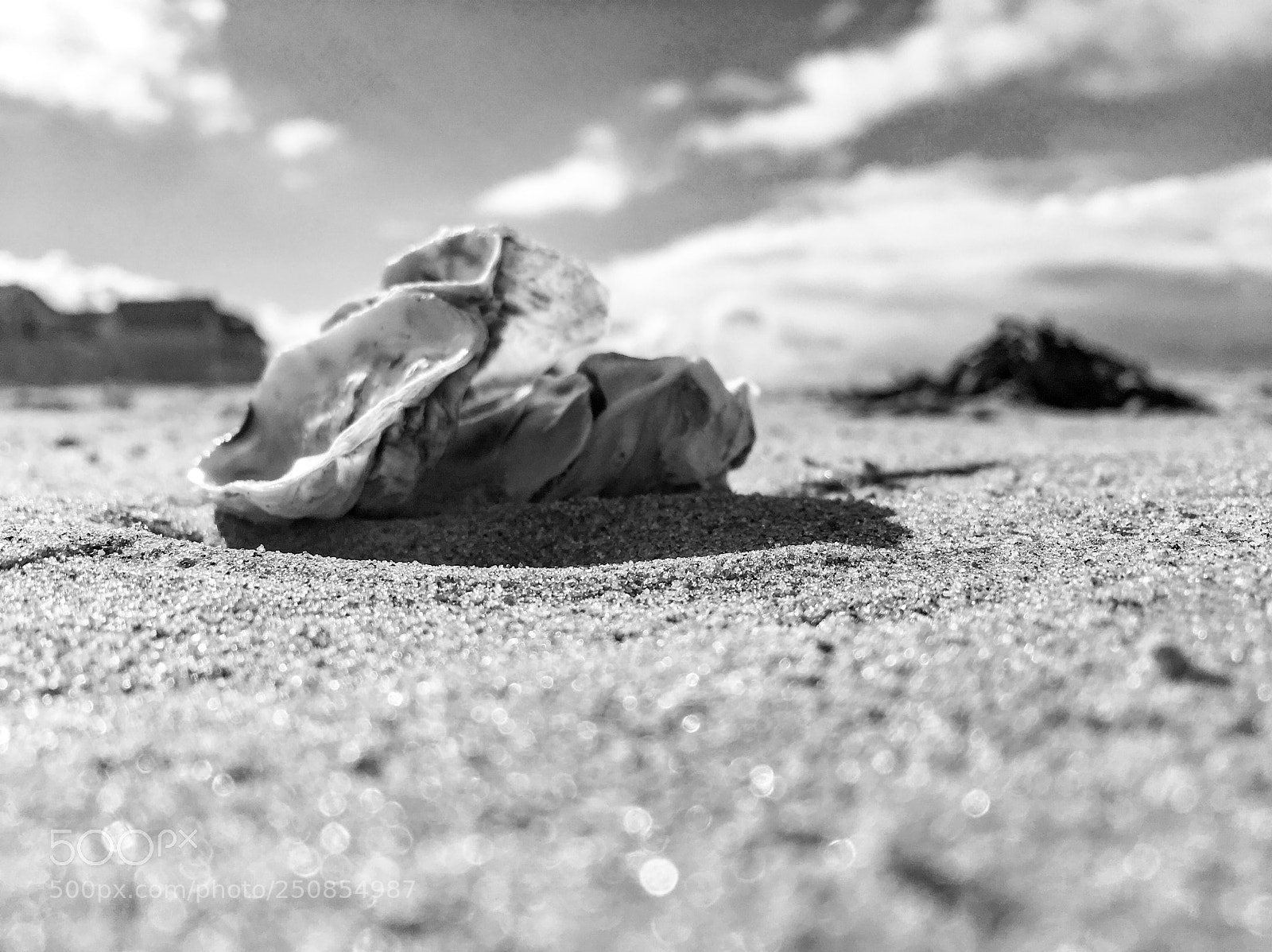 Apple iPhone 6s sample photo. Pos e sur le photography