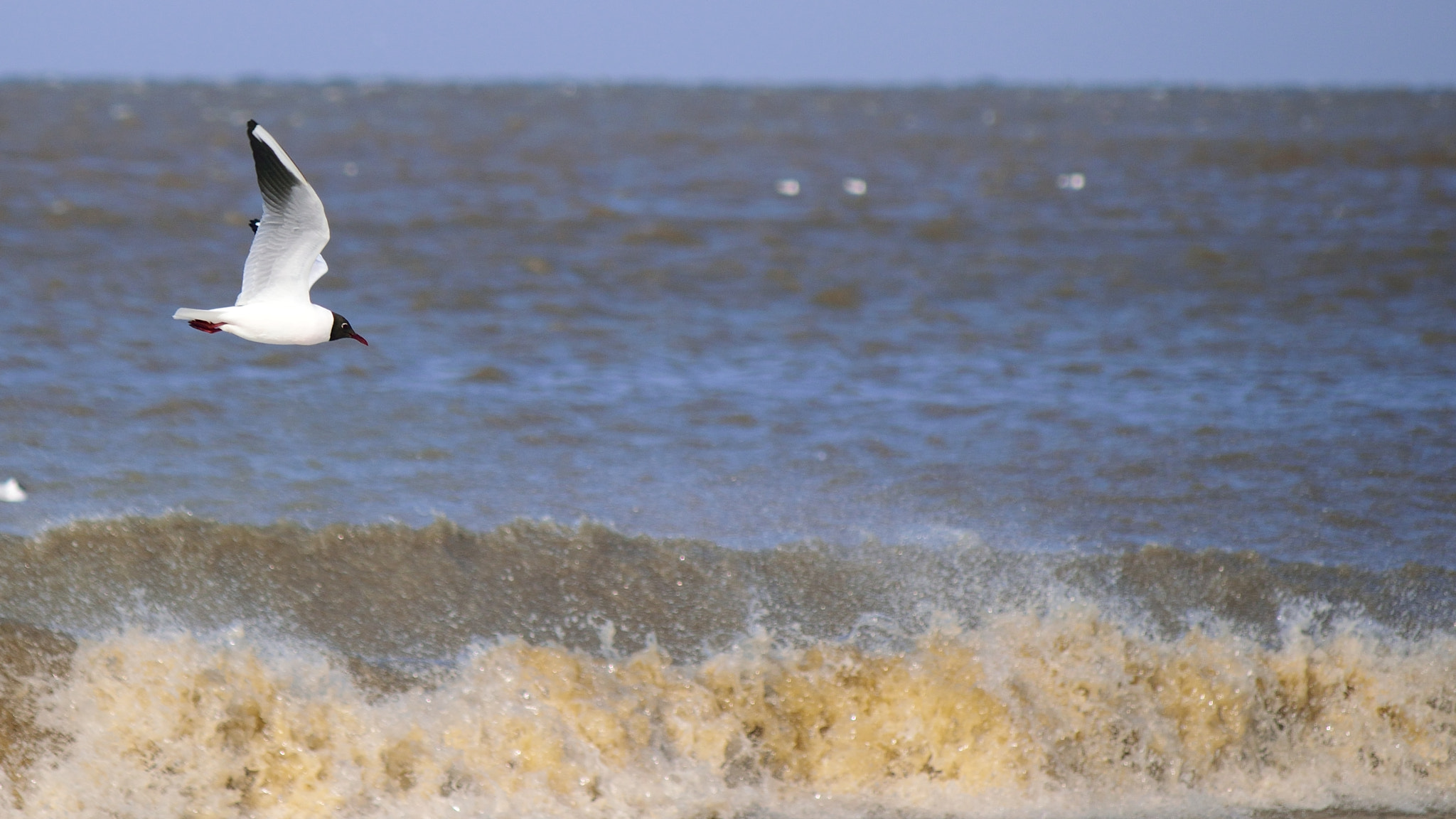 Nikon D5300 sample photo. The wave photography