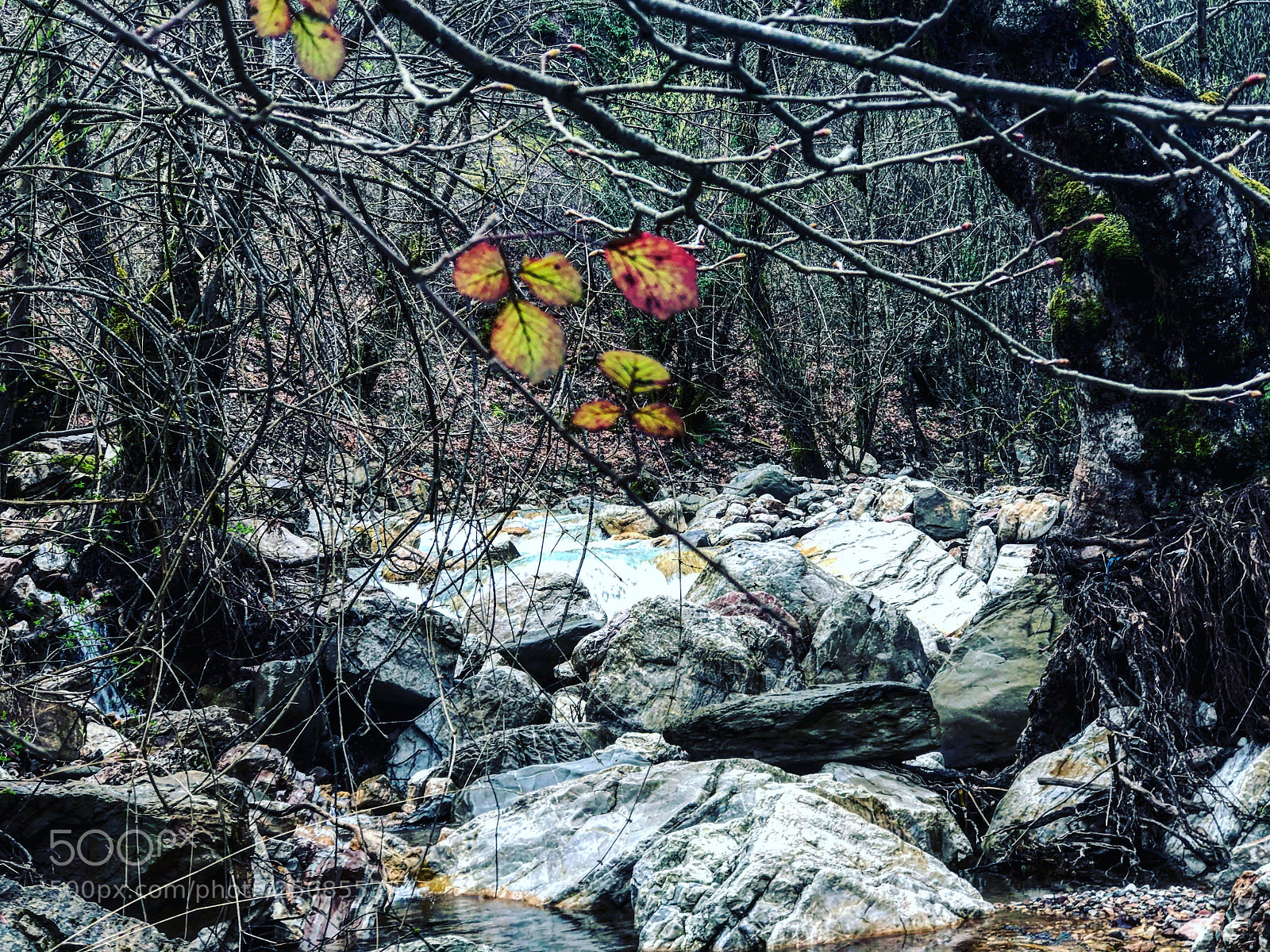 Apple iPhone 8 Plus sample photo. Untitled photography