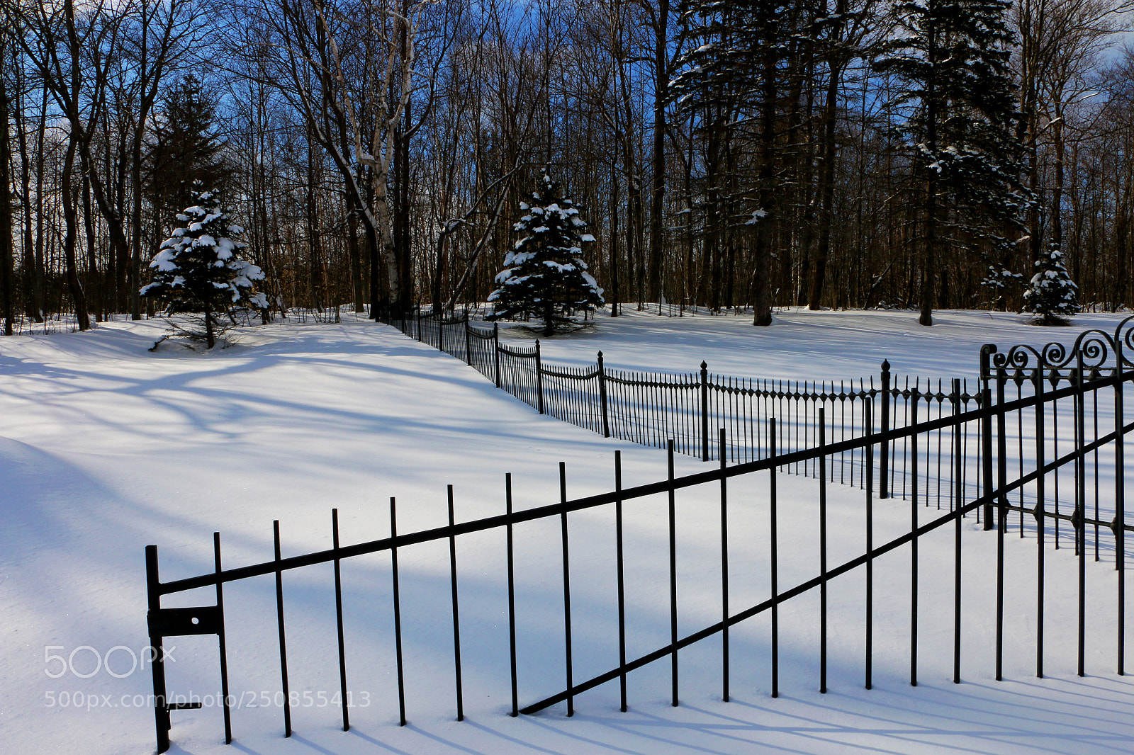 Canon EOS 70D sample photo. A gate to a photography