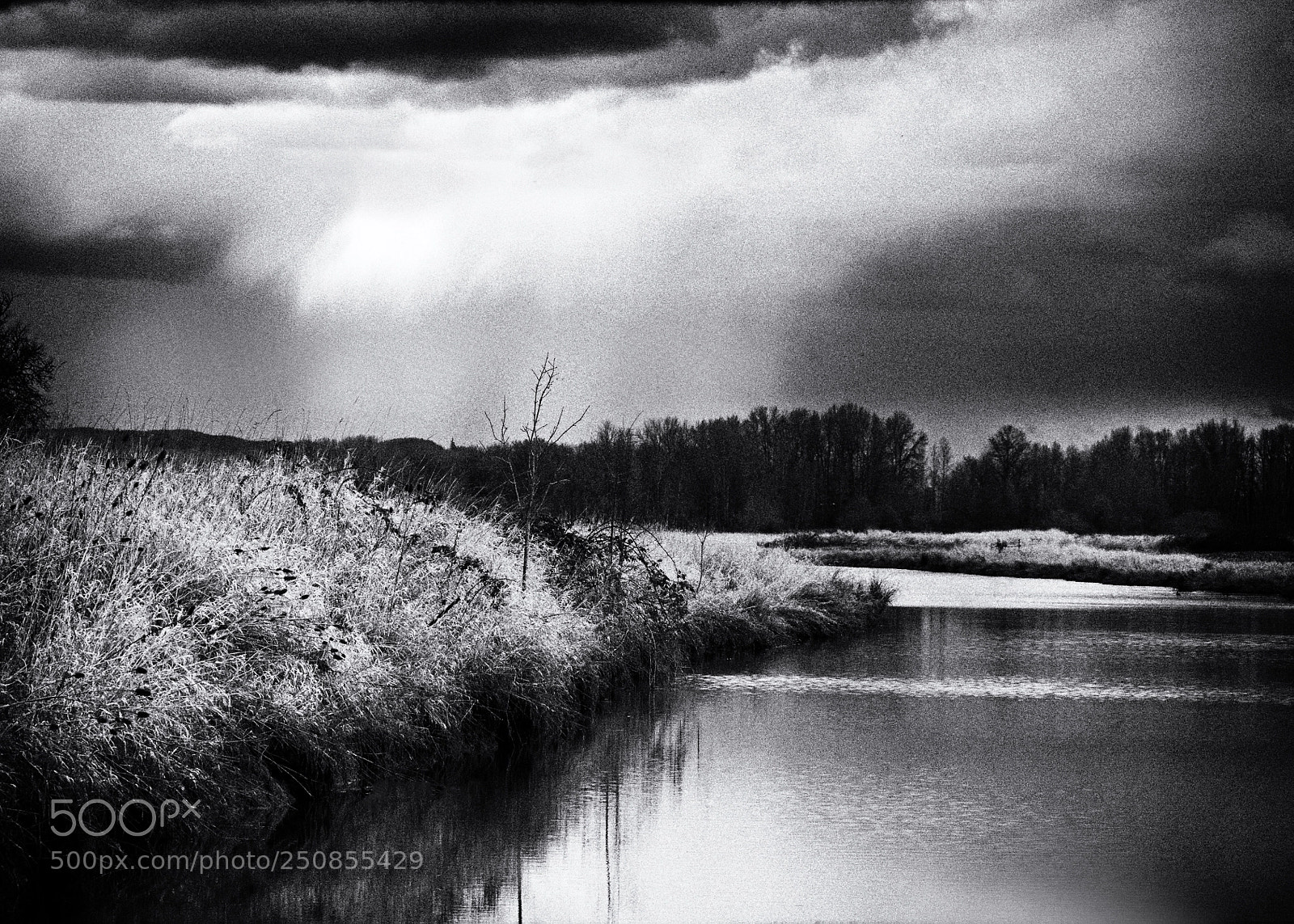 Canon EOS 7D Mark II sample photo. Hail storm photography