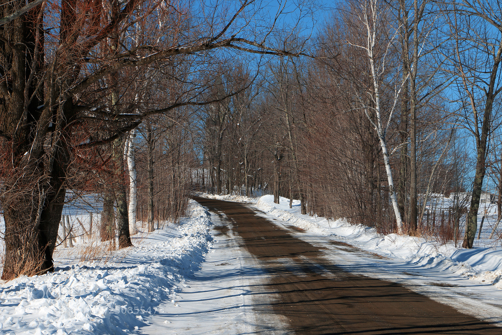 Canon EOS 70D sample photo. Early spring photography