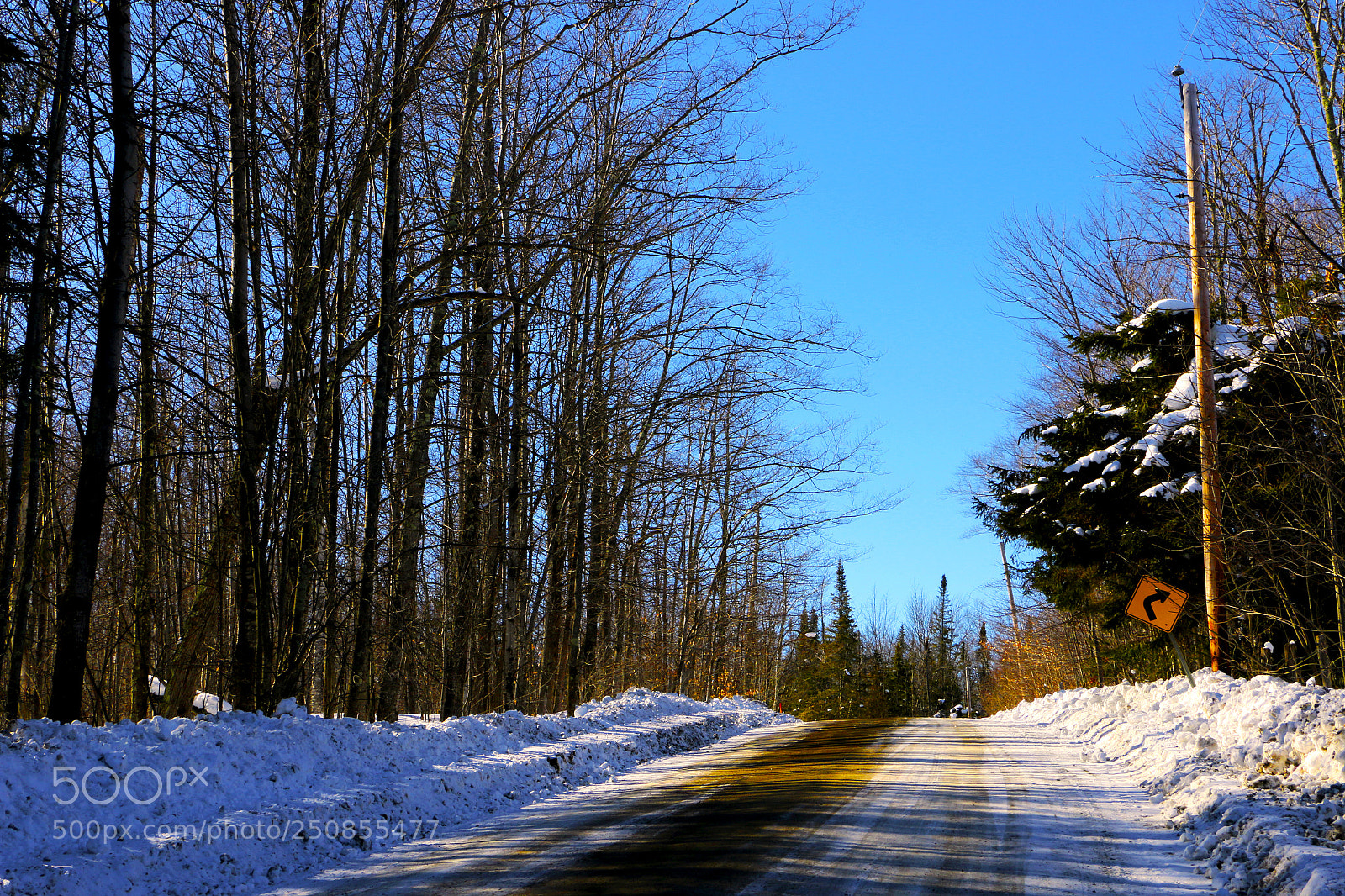Canon EOS 70D sample photo. Hard right photography